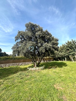 Jardín